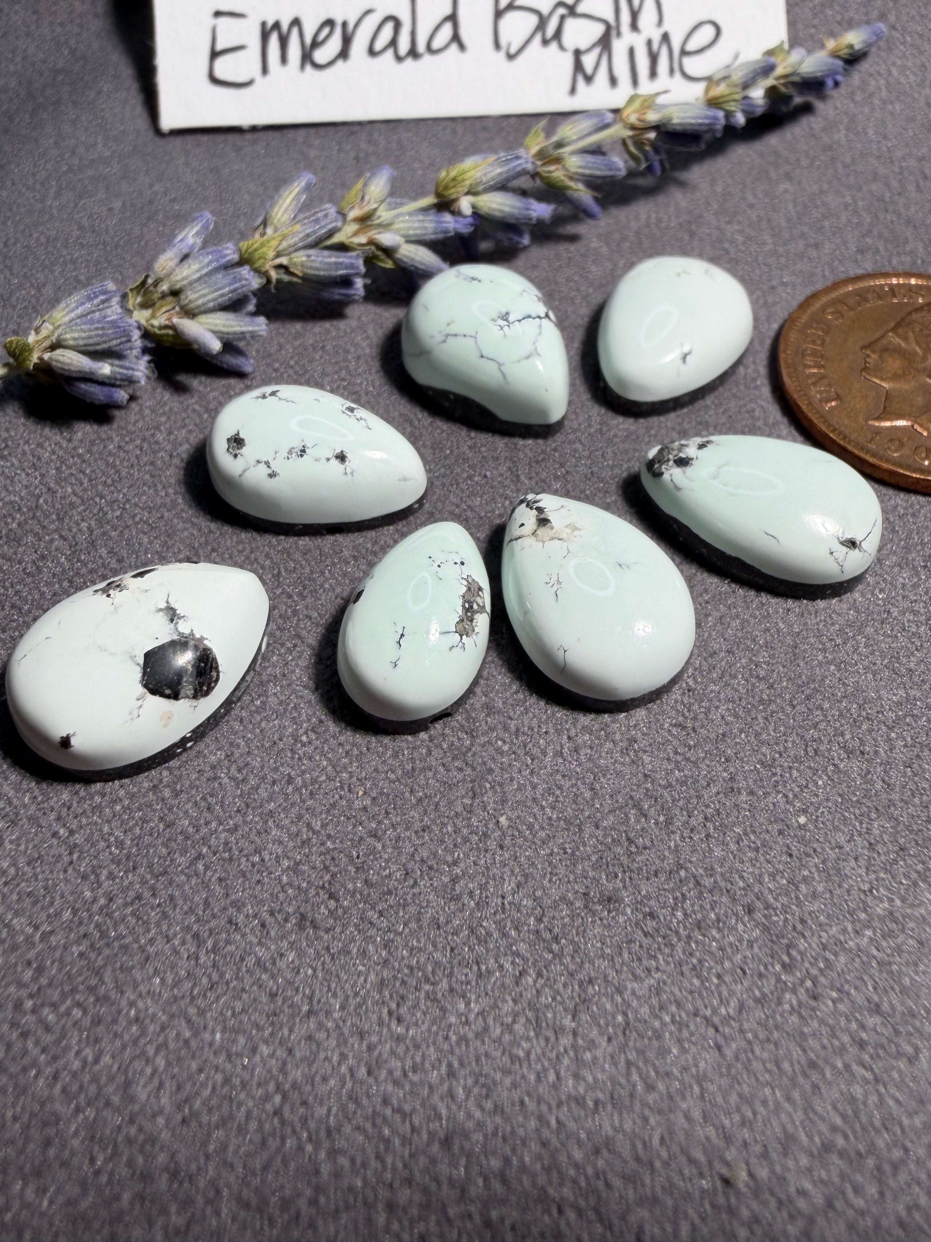 Lot of Emerald Basin Mine - Variscite  28cts. On Sale!