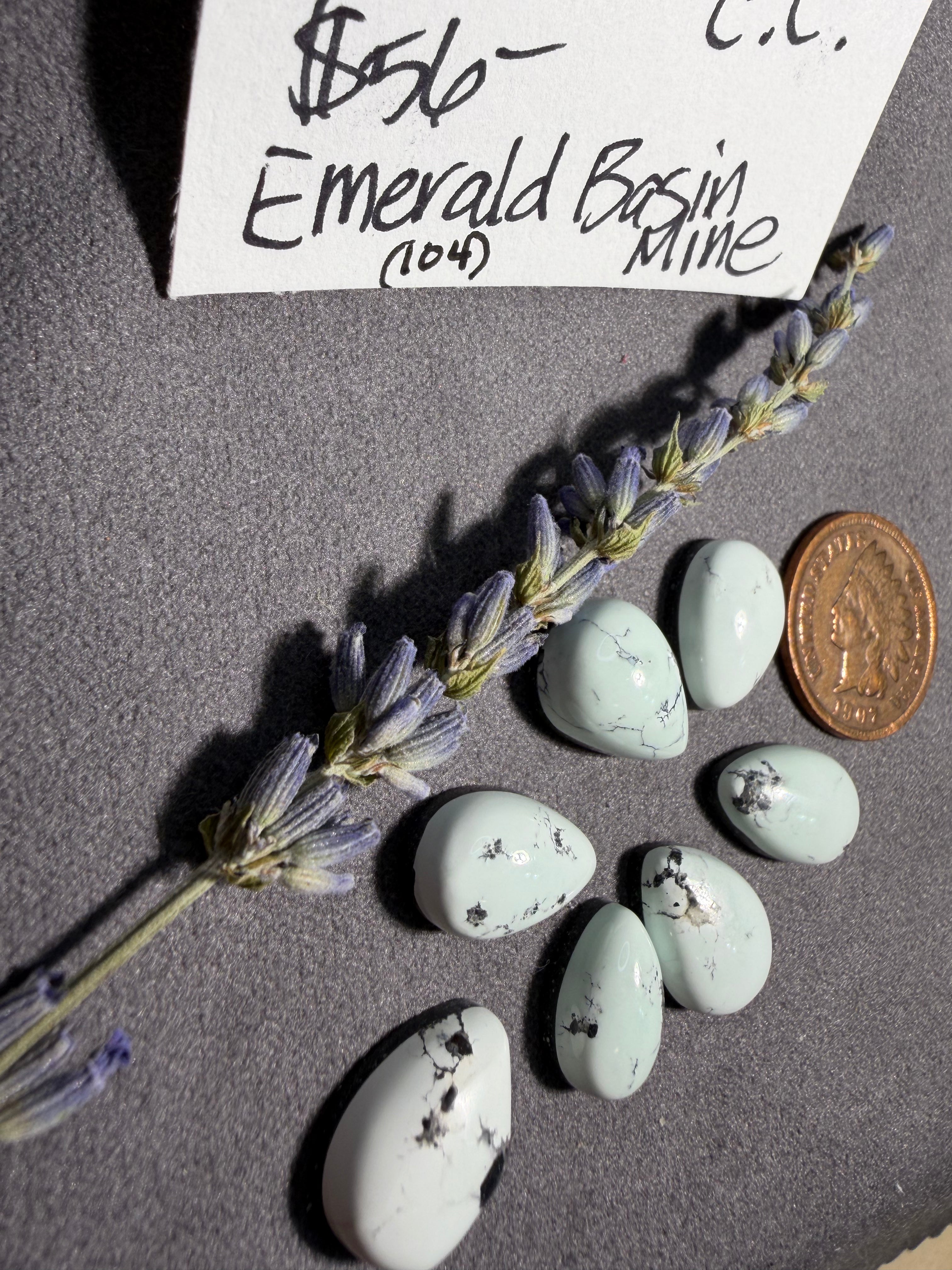 Lot of Emerald Basin Mine - Variscite  28cts. On Sale!