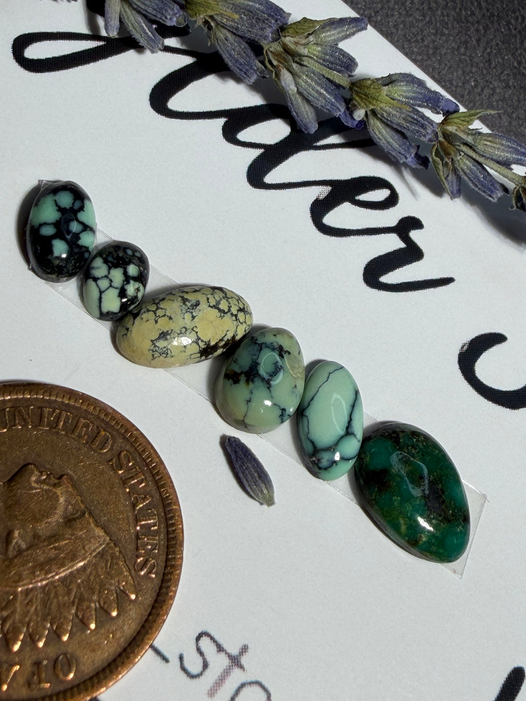 Gorgeous NEW LANDER VARISCITE Lot of 6 stones!  On Sale!