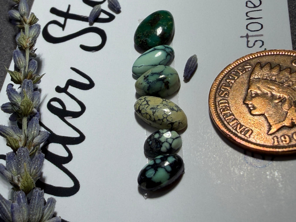 Gorgeous NEW LANDER VARISCITE Lot of 6 stones!  On Sale!