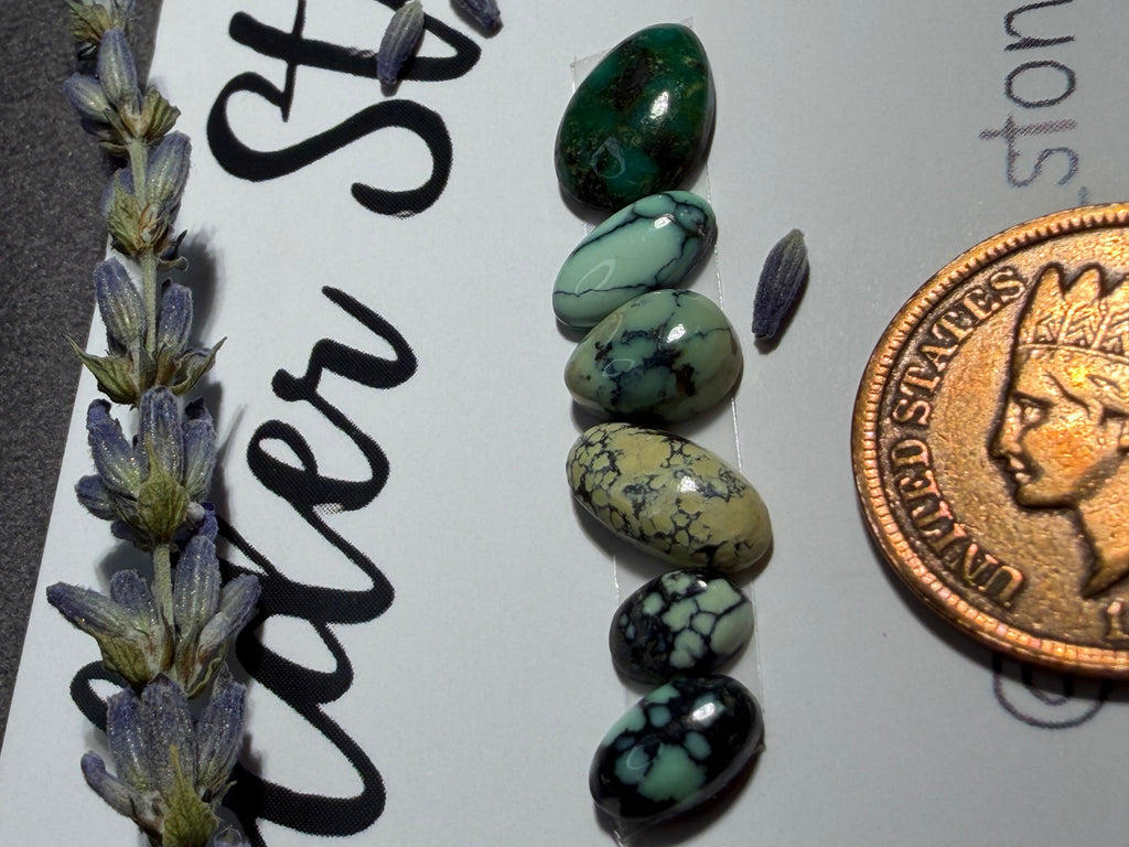 Gorgeous NEW LANDER VARISCITE Lot of 6 stones!  On Sale!