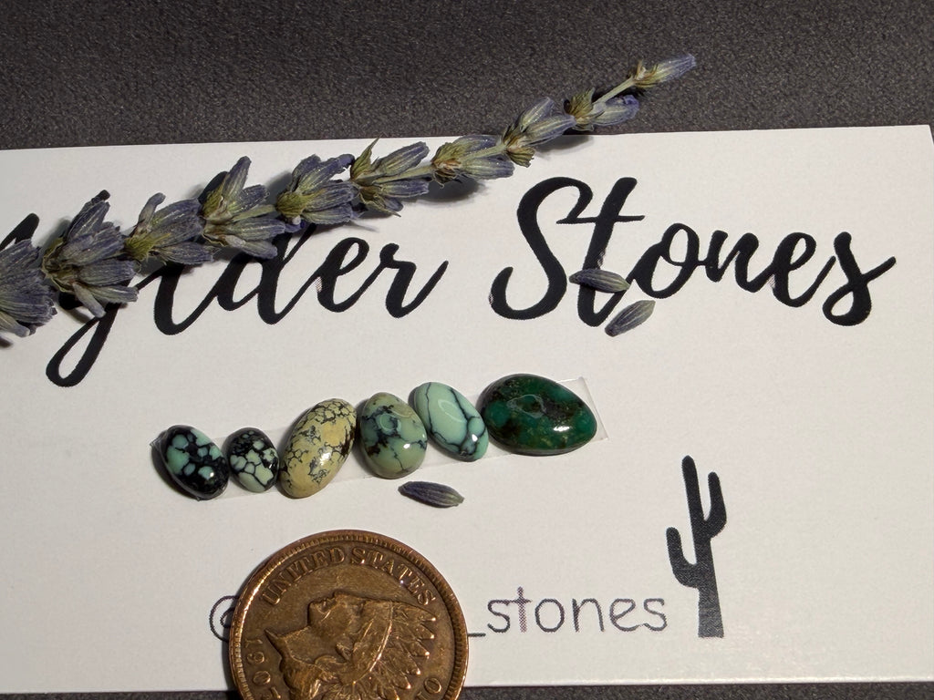 Gorgeous NEW LANDER VARISCITE Lot of 6 stones!  On Sale!