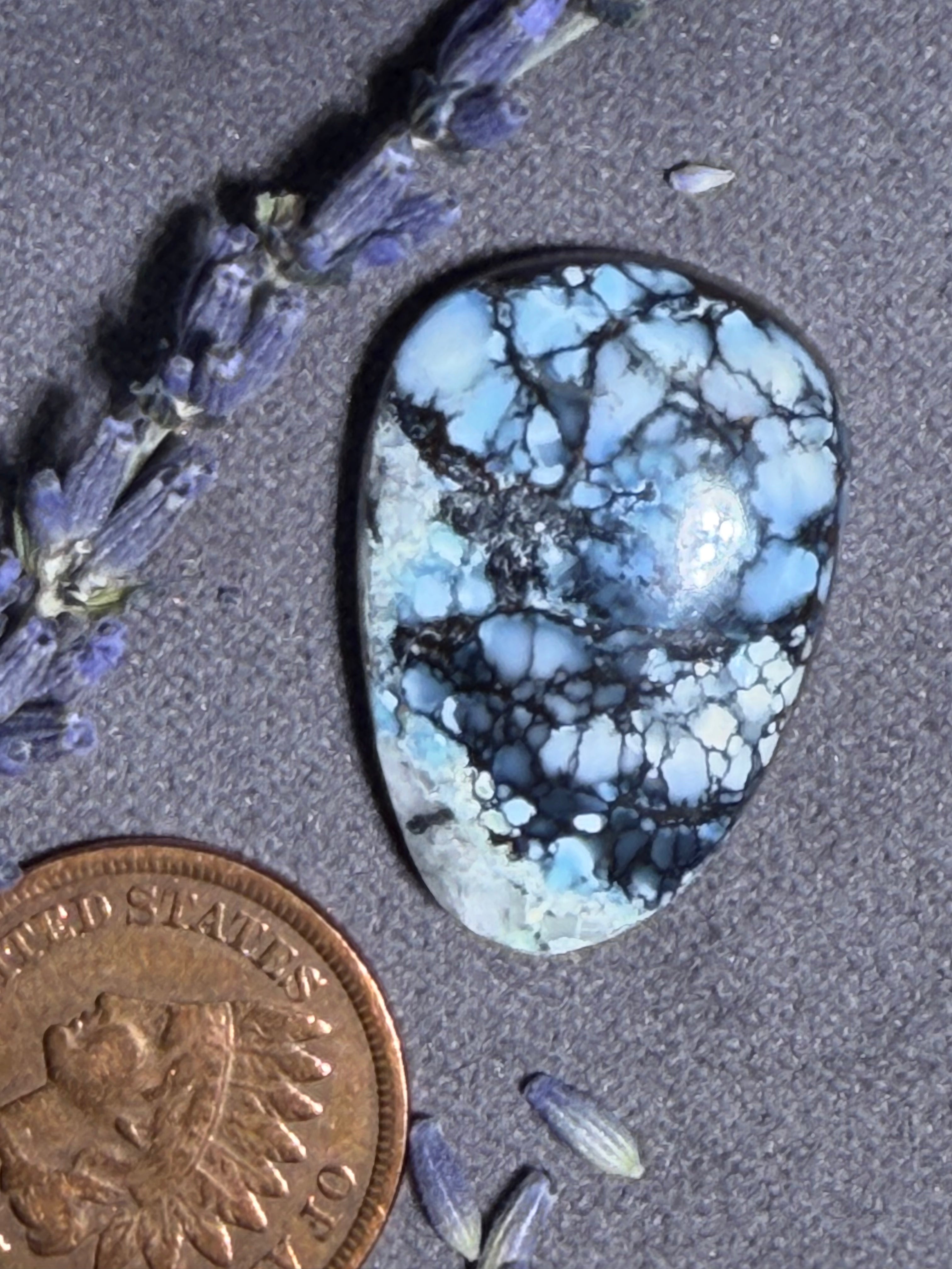 Beautiful White River Variscite - Look at the matrix and all the colors in this one!