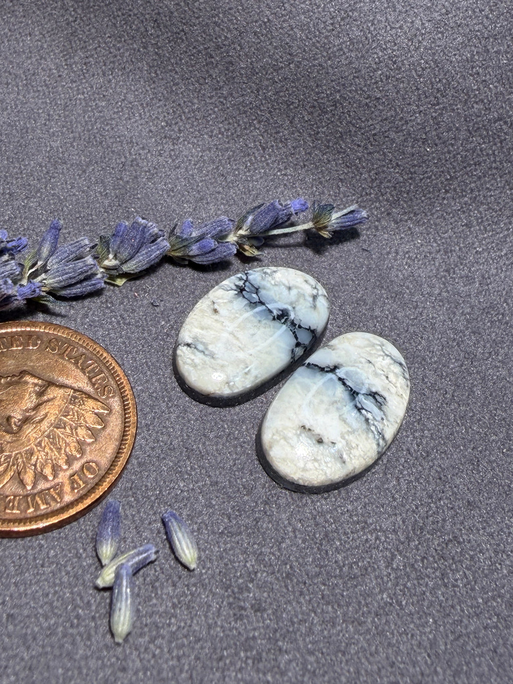 Beautiful Pair of Natural White River Variscite Cabs for Earrings!