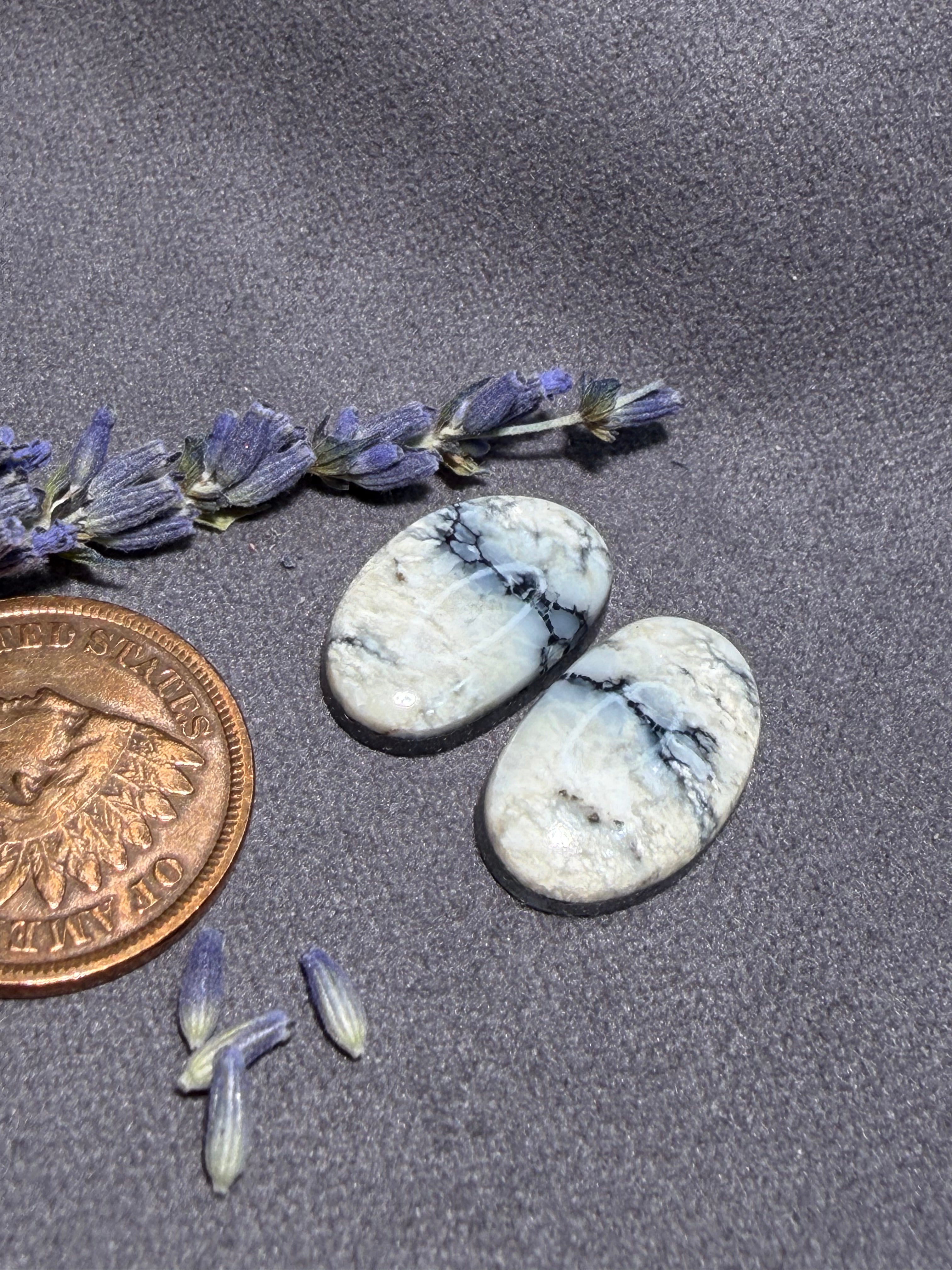 Beautiful Pair of Natural White River Variscite Cabs for Earrings!