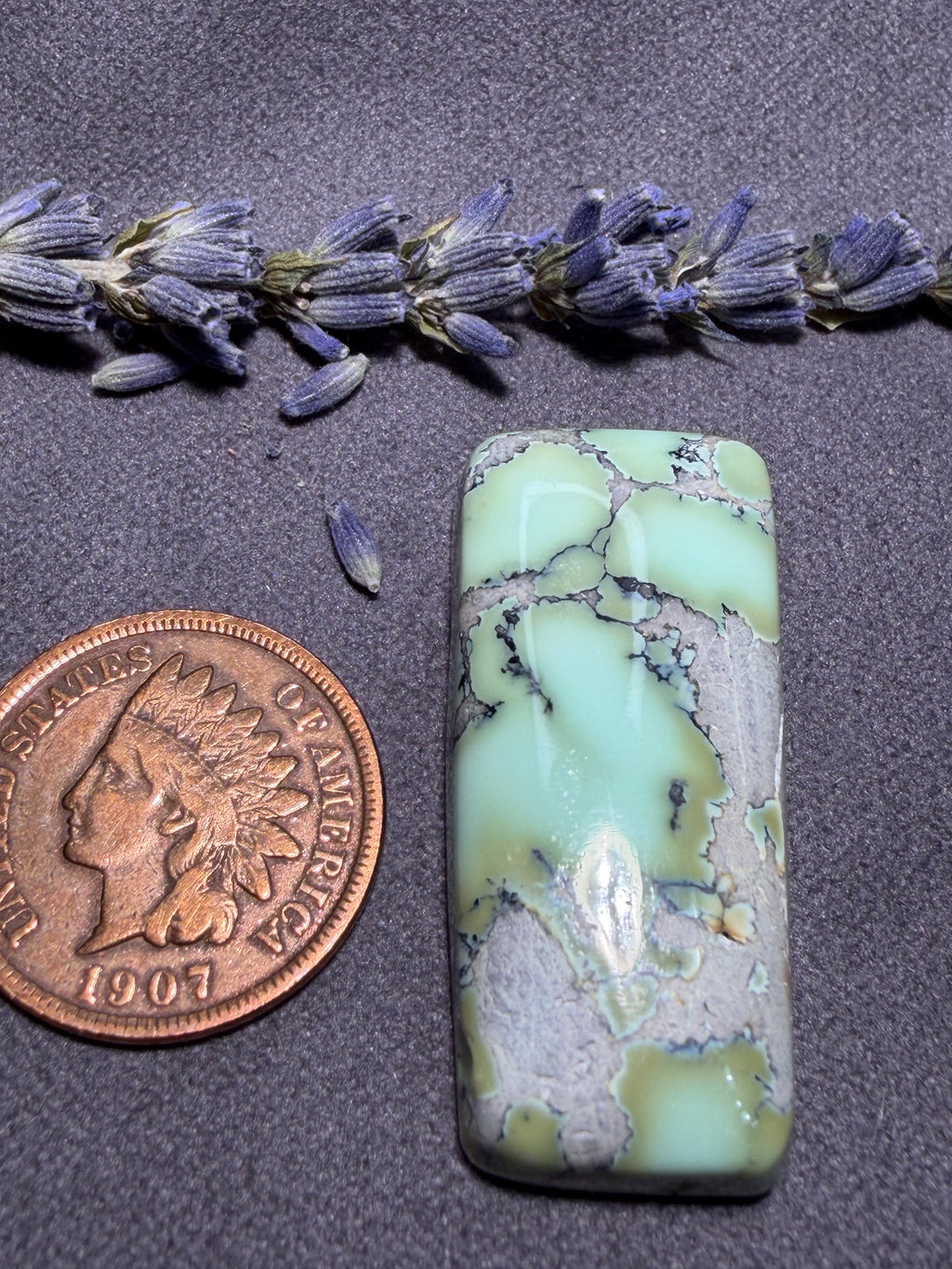 Natural Nautilus Variscite Chunky Cabochon! On Sale!