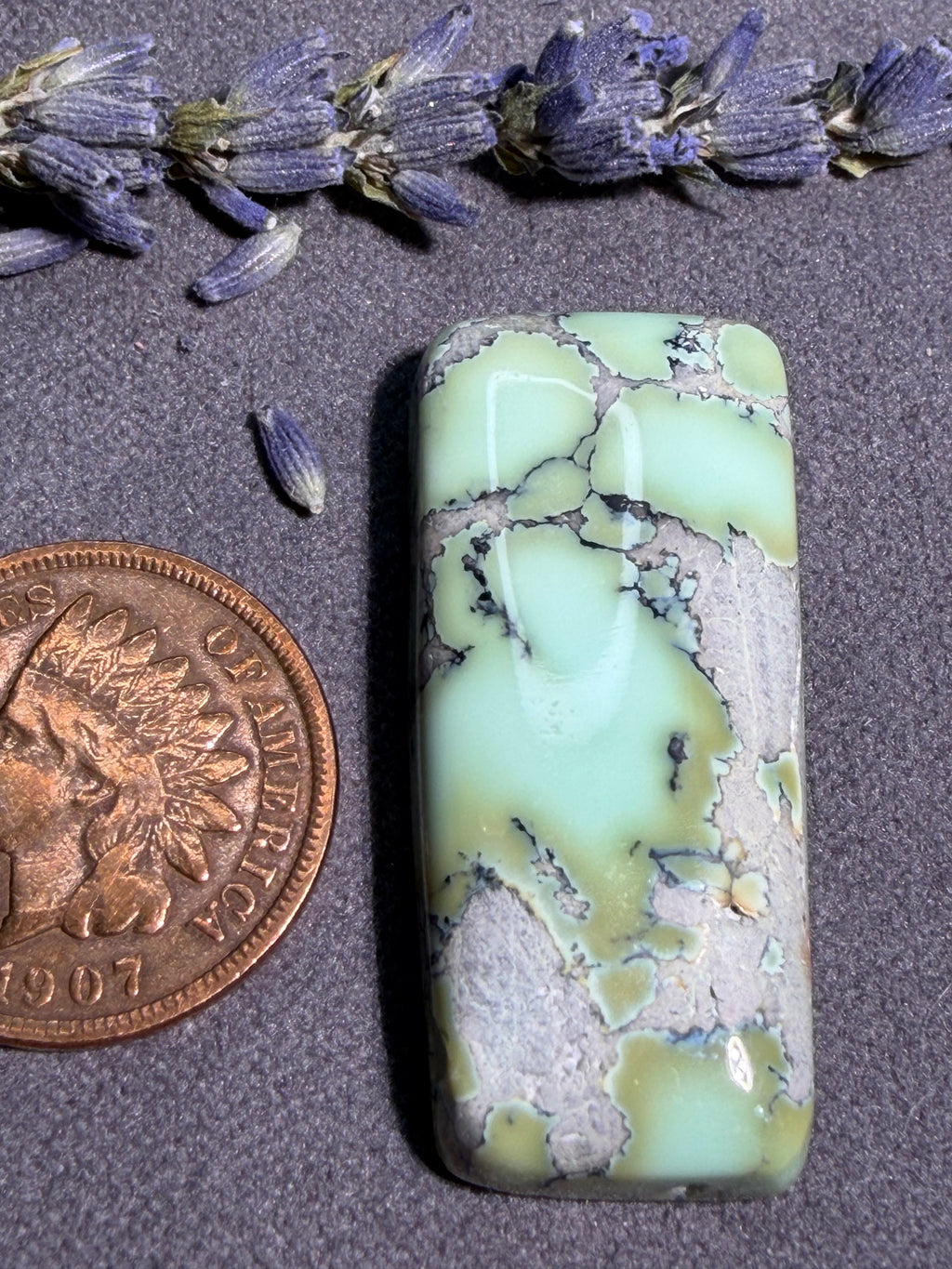Natural Nautilus Variscite Chunky Cabochon! On Sale!