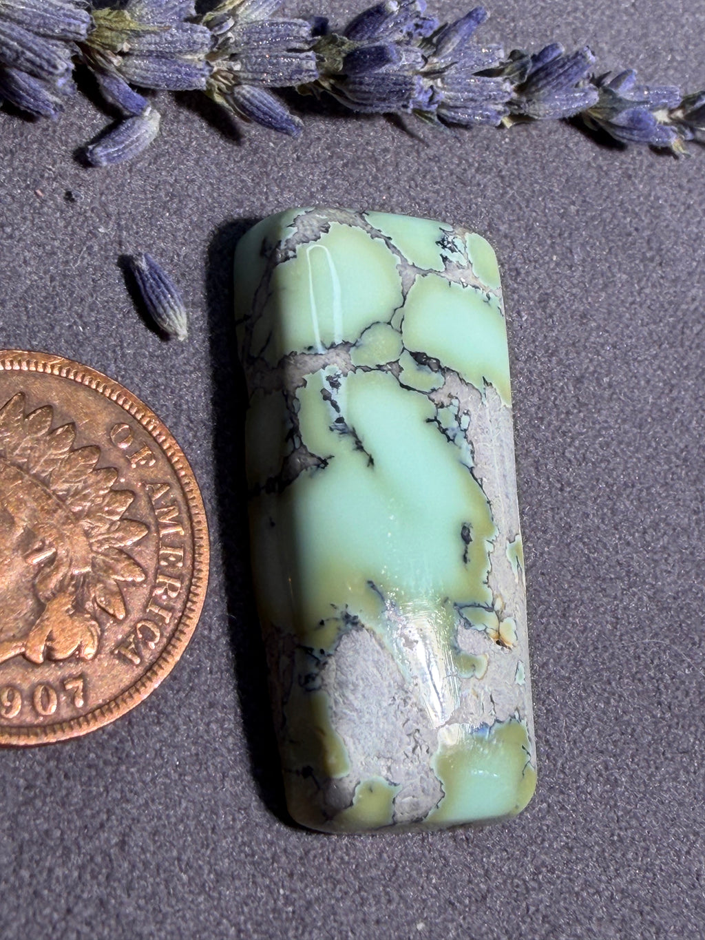 Natural Nautilus Variscite Chunky Cabochon! On Sale!