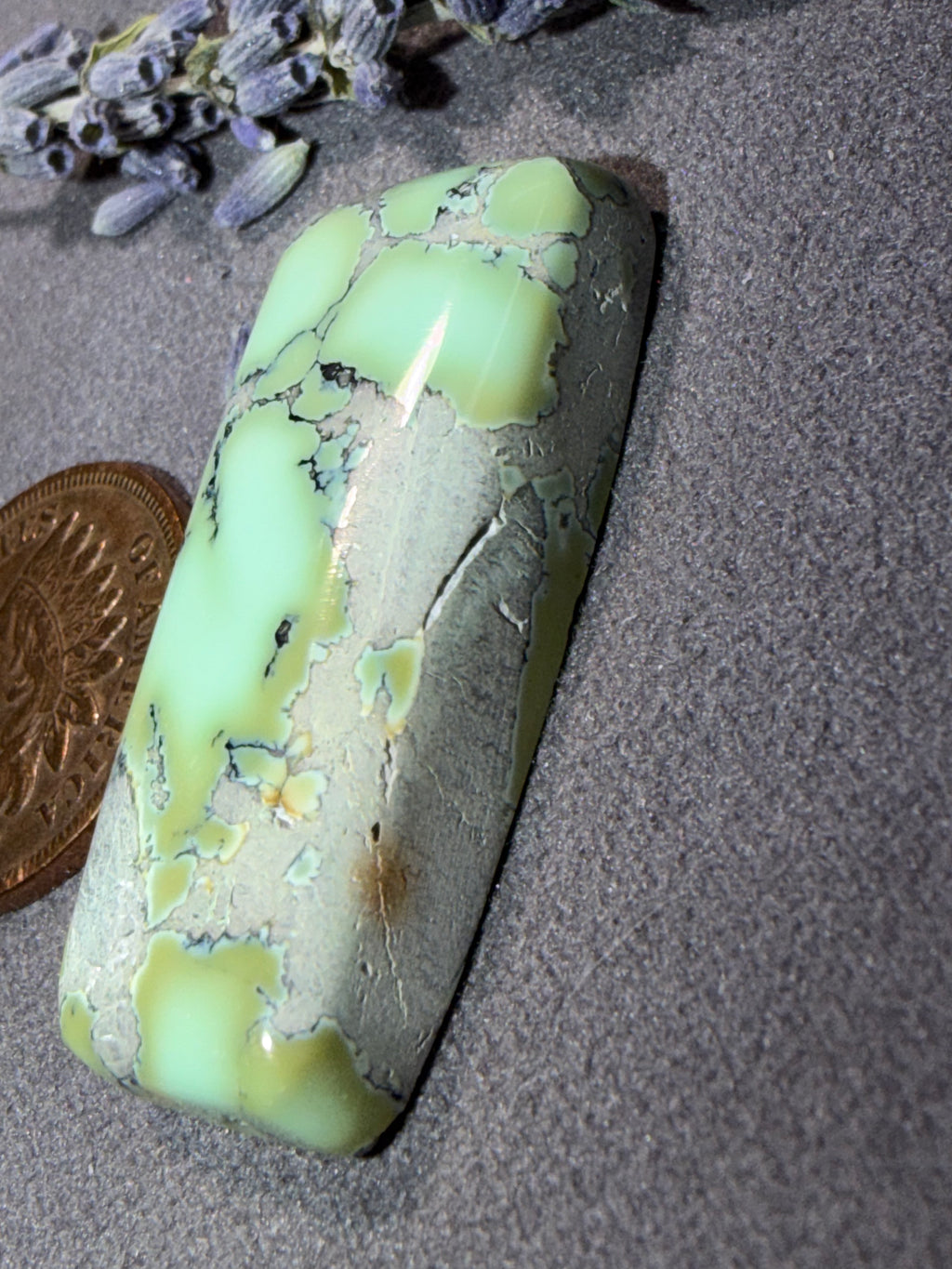Natural Nautilus Variscite Chunky Cabochon! On Sale!