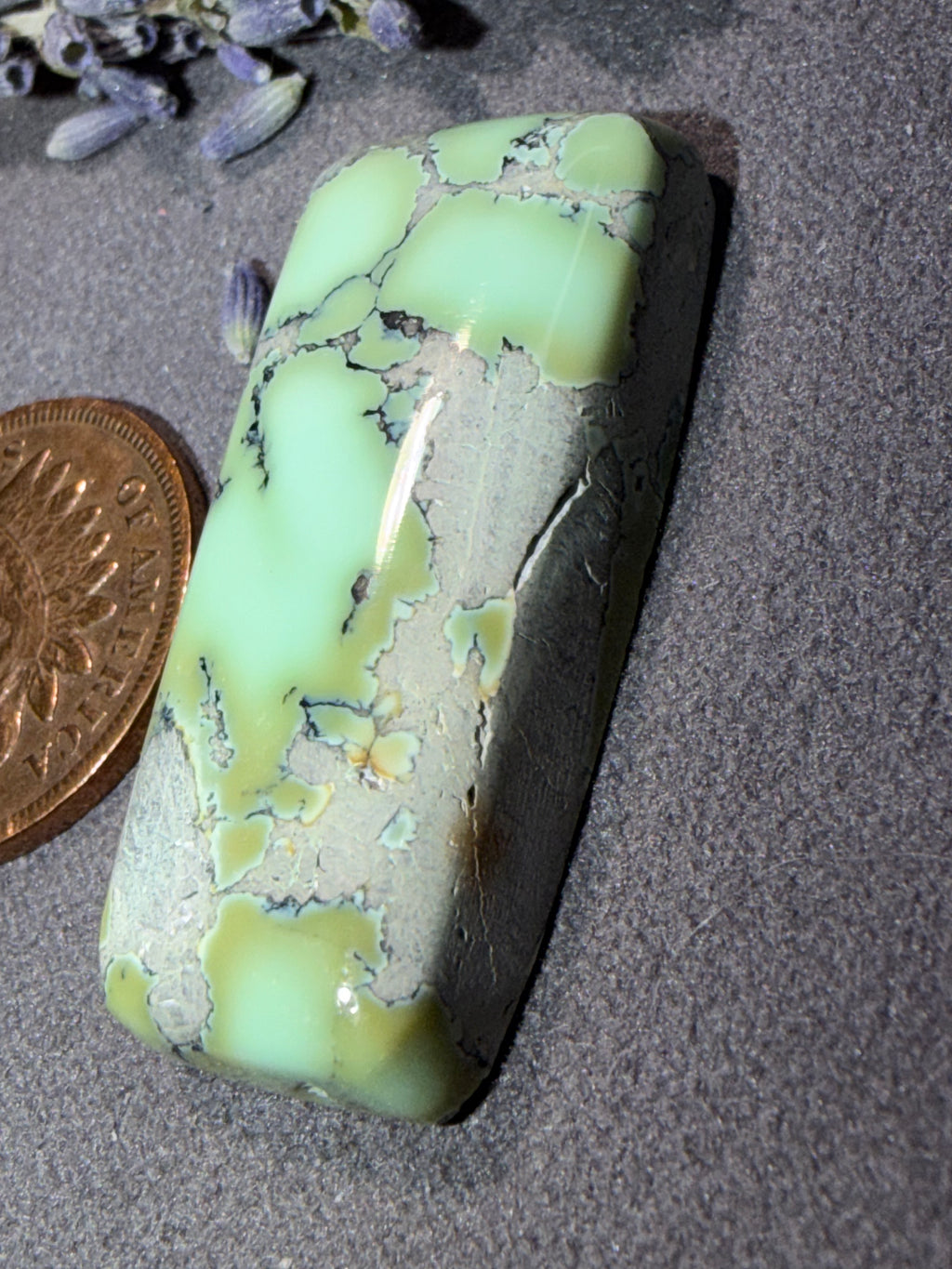 Natural Nautilus Variscite Chunky Cabochon! On Sale!