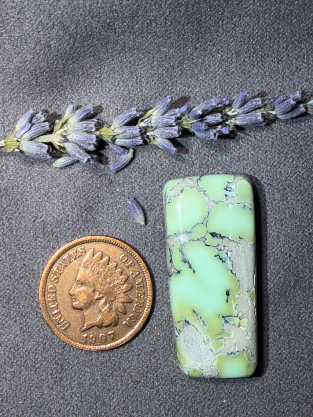 Natural Nautilus Variscite Chunky Cabochon! On Sale!