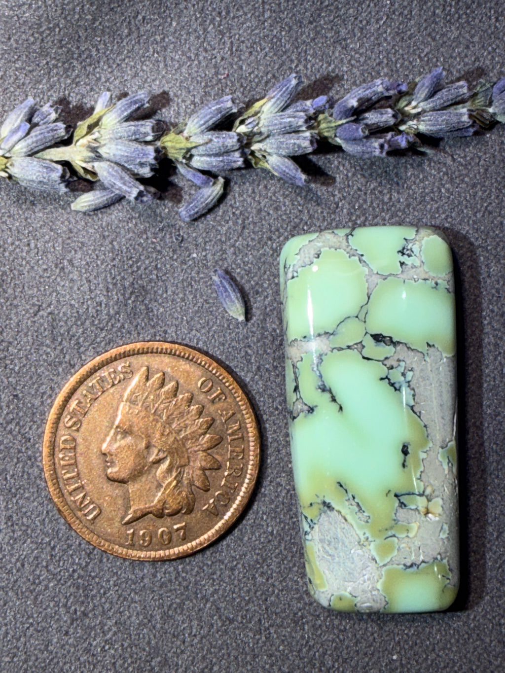 Natural Nautilus Variscite Chunky Cabochon! On Sale!