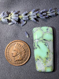 Natural Nautilus Variscite Chunky Cabochon! On Sale!