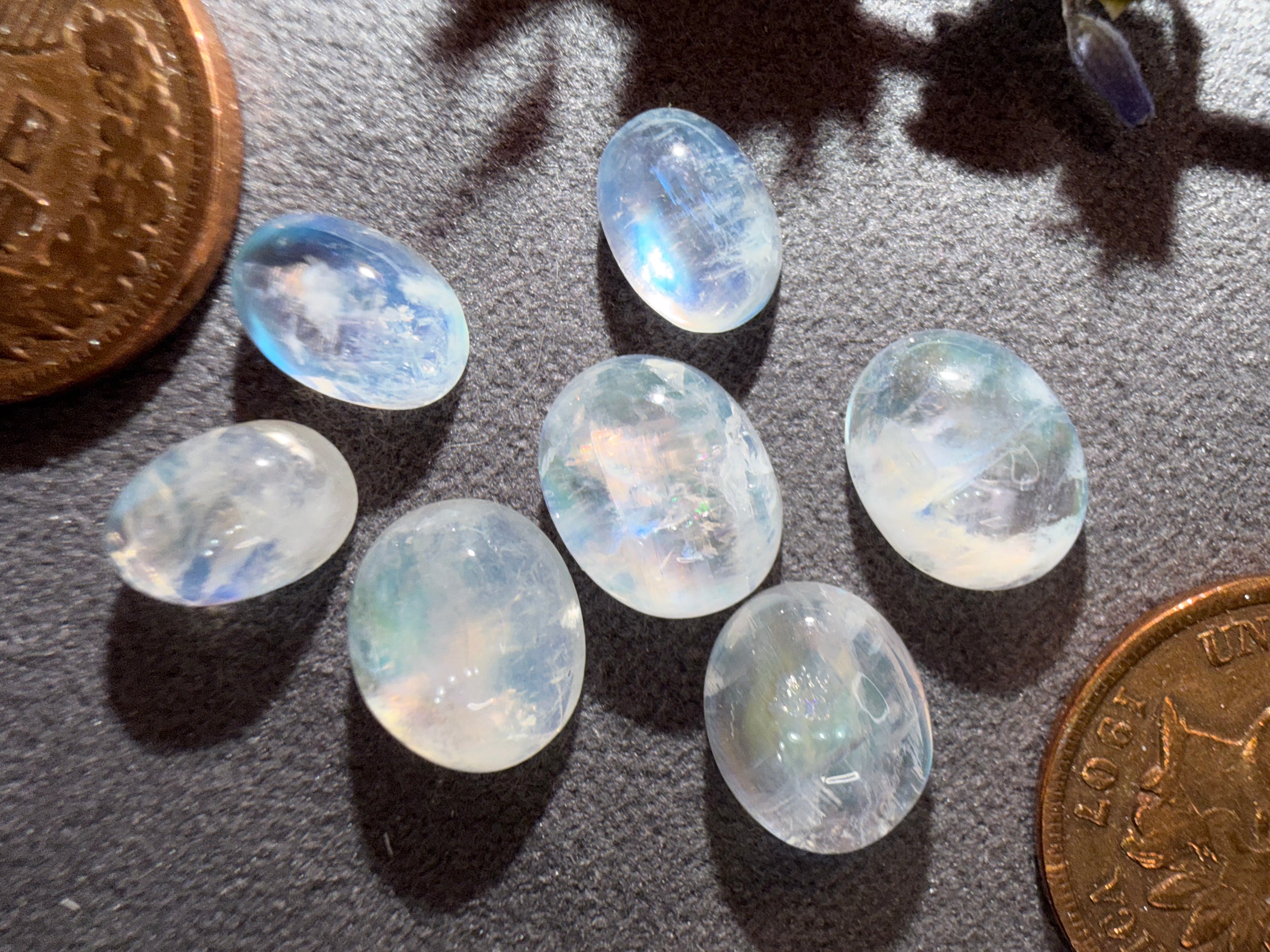Rainbow Moonstones lot of 7 stones