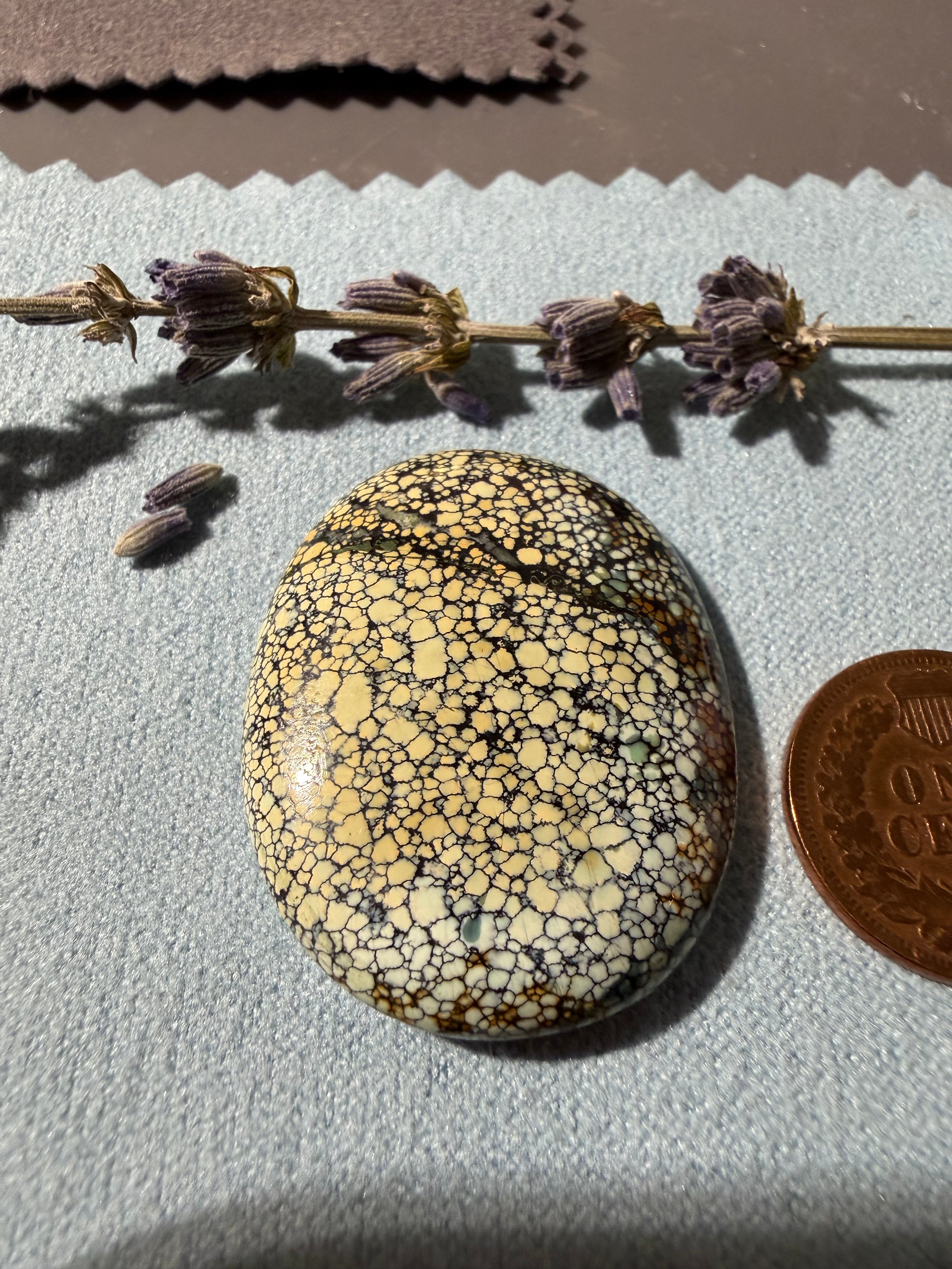 What a Beautiful stone!! This is Ivory Creek Variscite! On Sale!