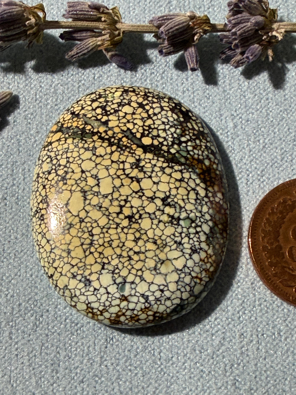 What a Beautiful stone!! This is Ivory Creek Variscite! On Sale!