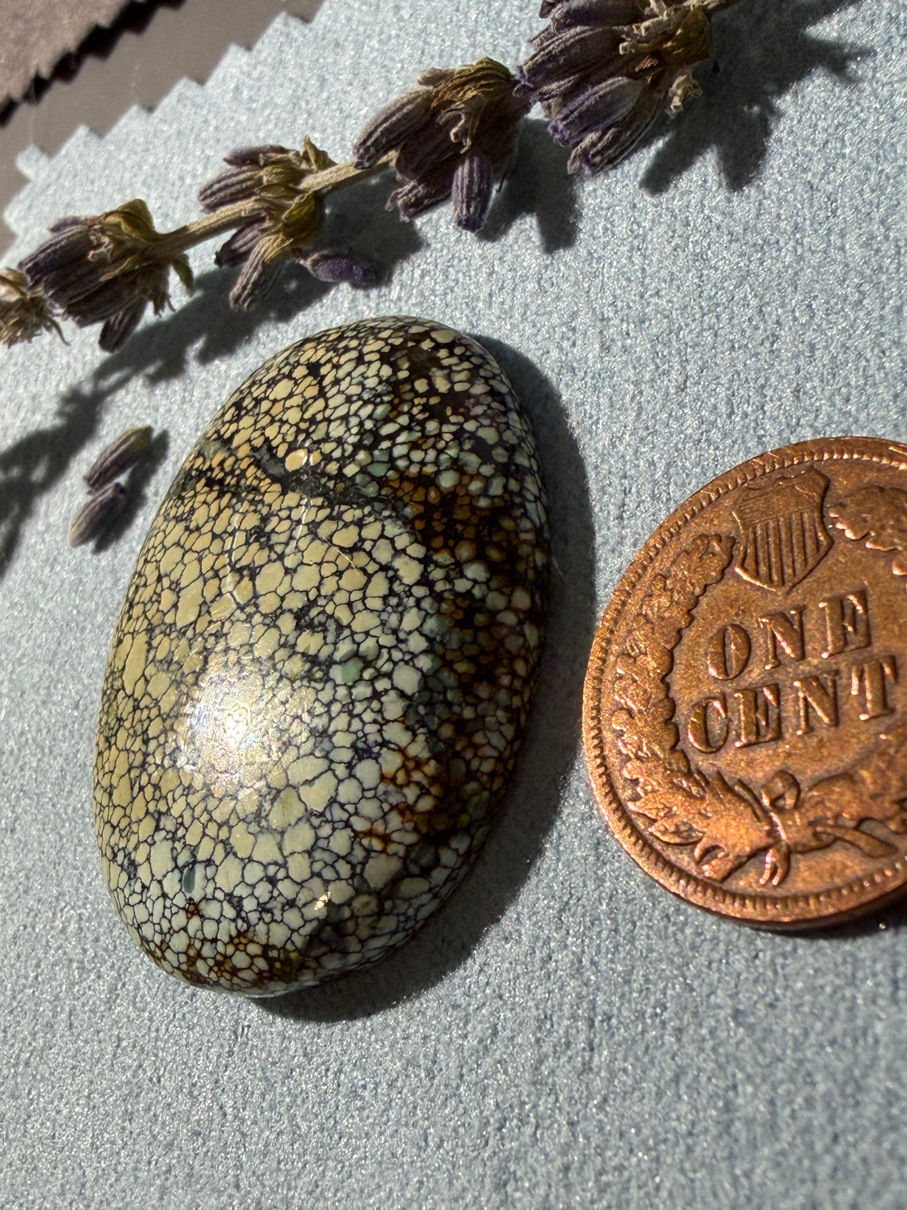 What a Beautiful stone!! This is Ivory Creek Variscite! On Sale!