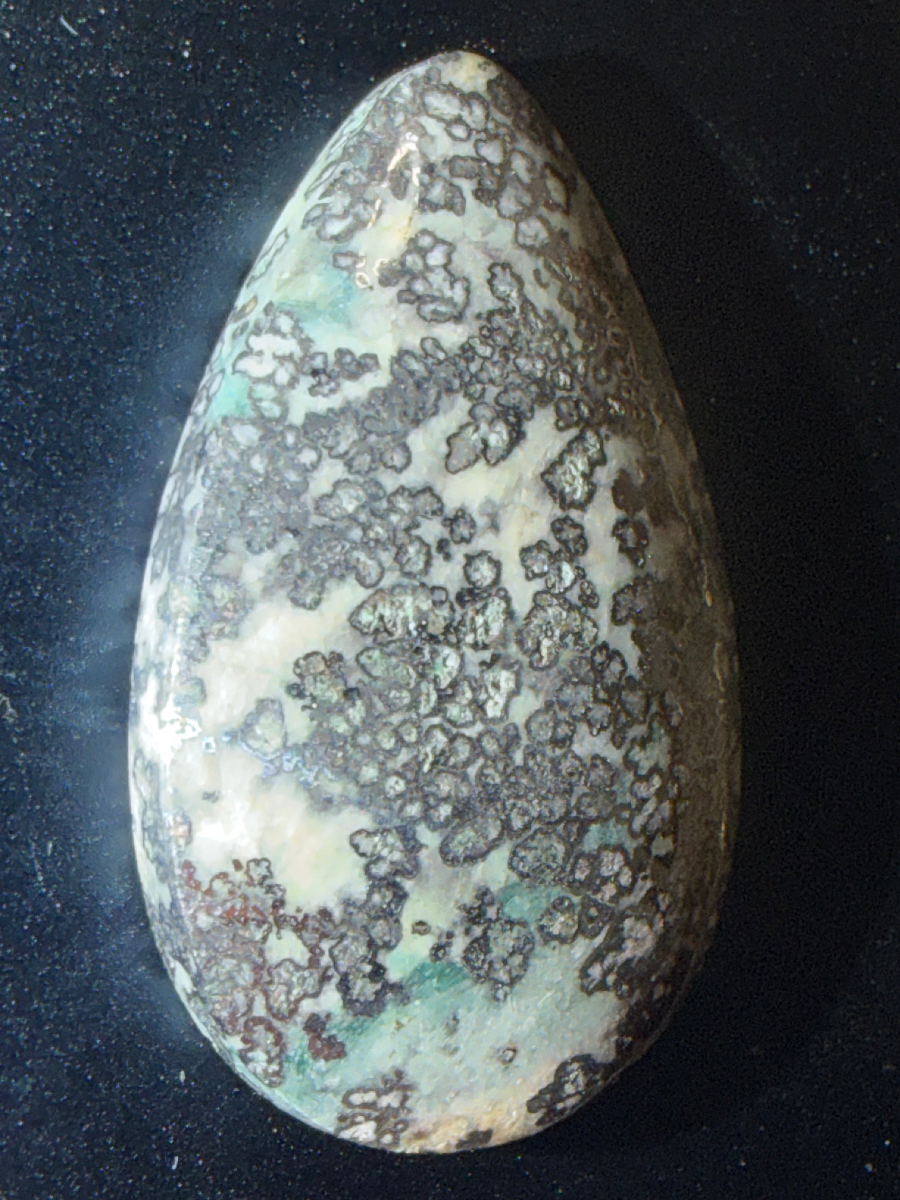 RARE & REAL NATIVE Dendritic Silver Cabochon - Significant Mark Down!