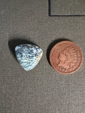 Variscite from the Prince Mine in Mineral Co. NV