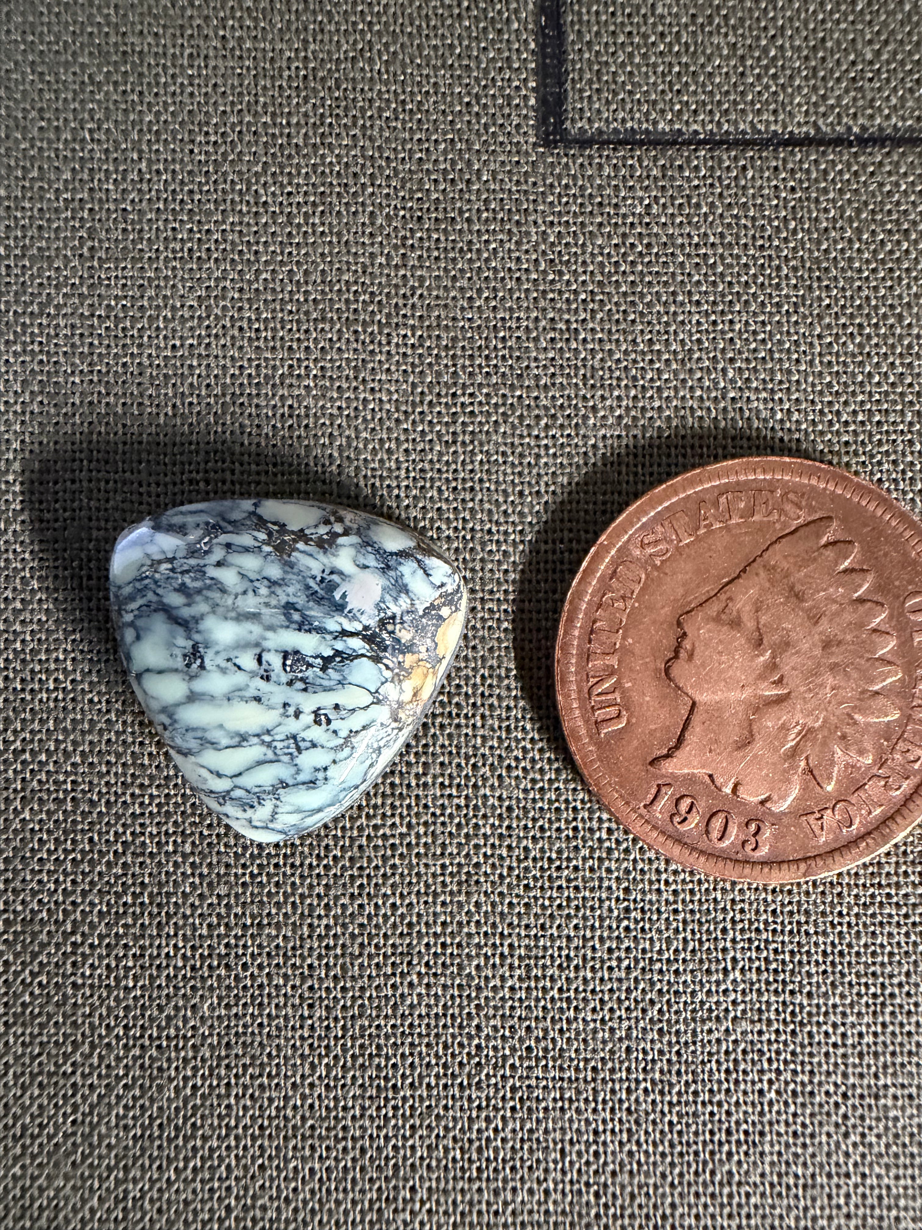 Variscite from the Prince Mine in Mineral Co. NV