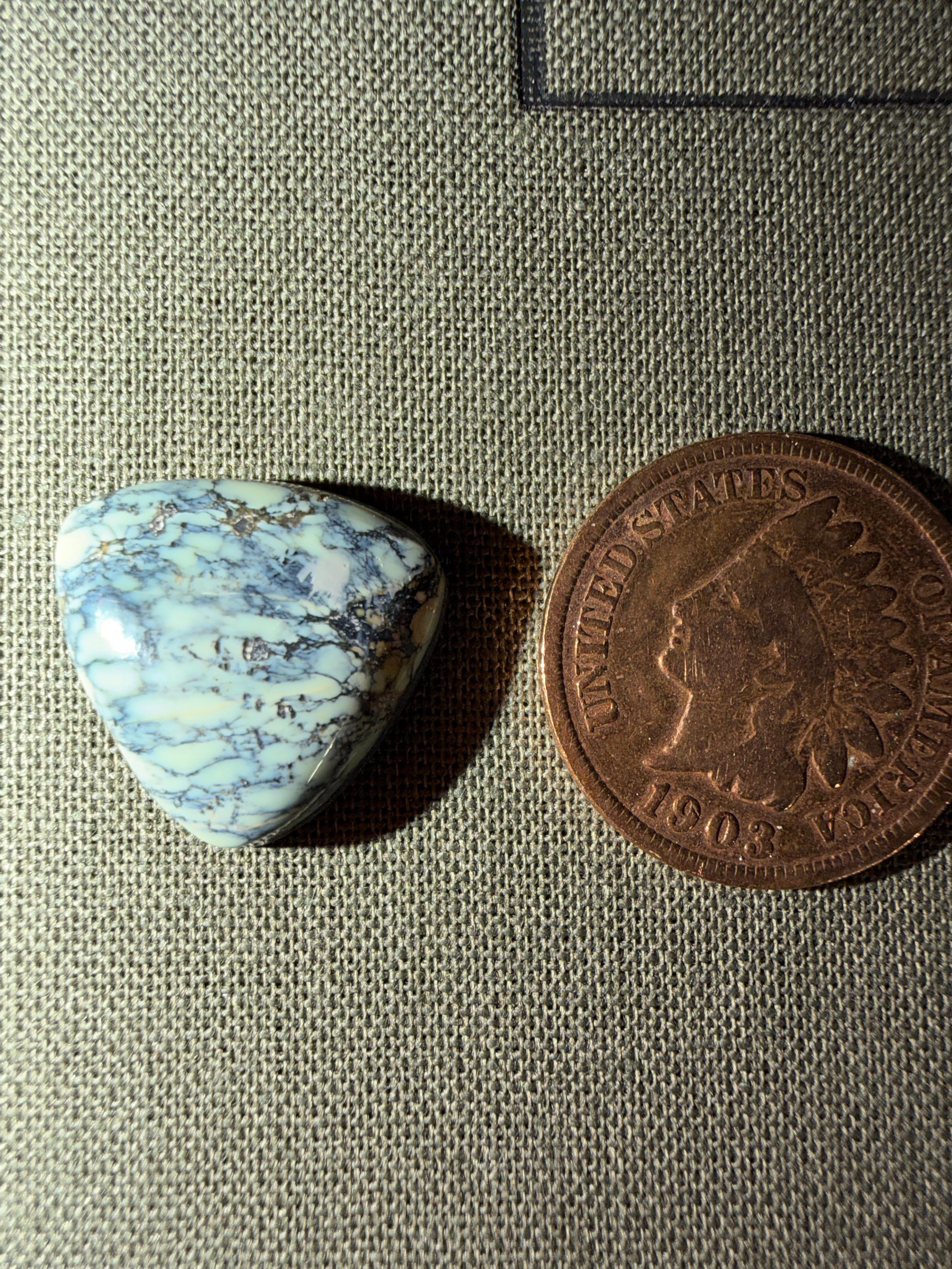 Variscite from the Prince Mine in Mineral Co. NV