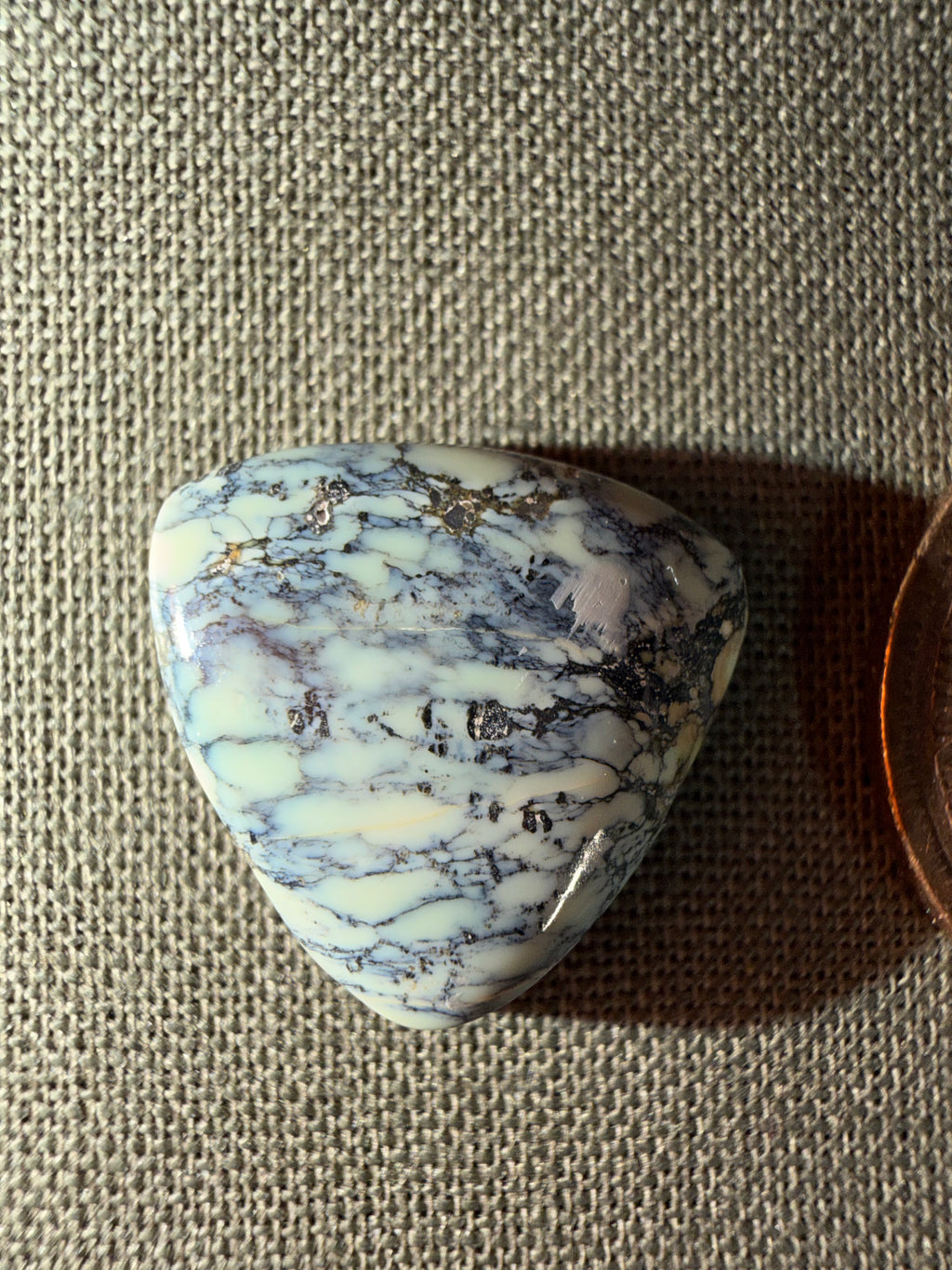 Variscite from the Prince Mine in Mineral Co. NV