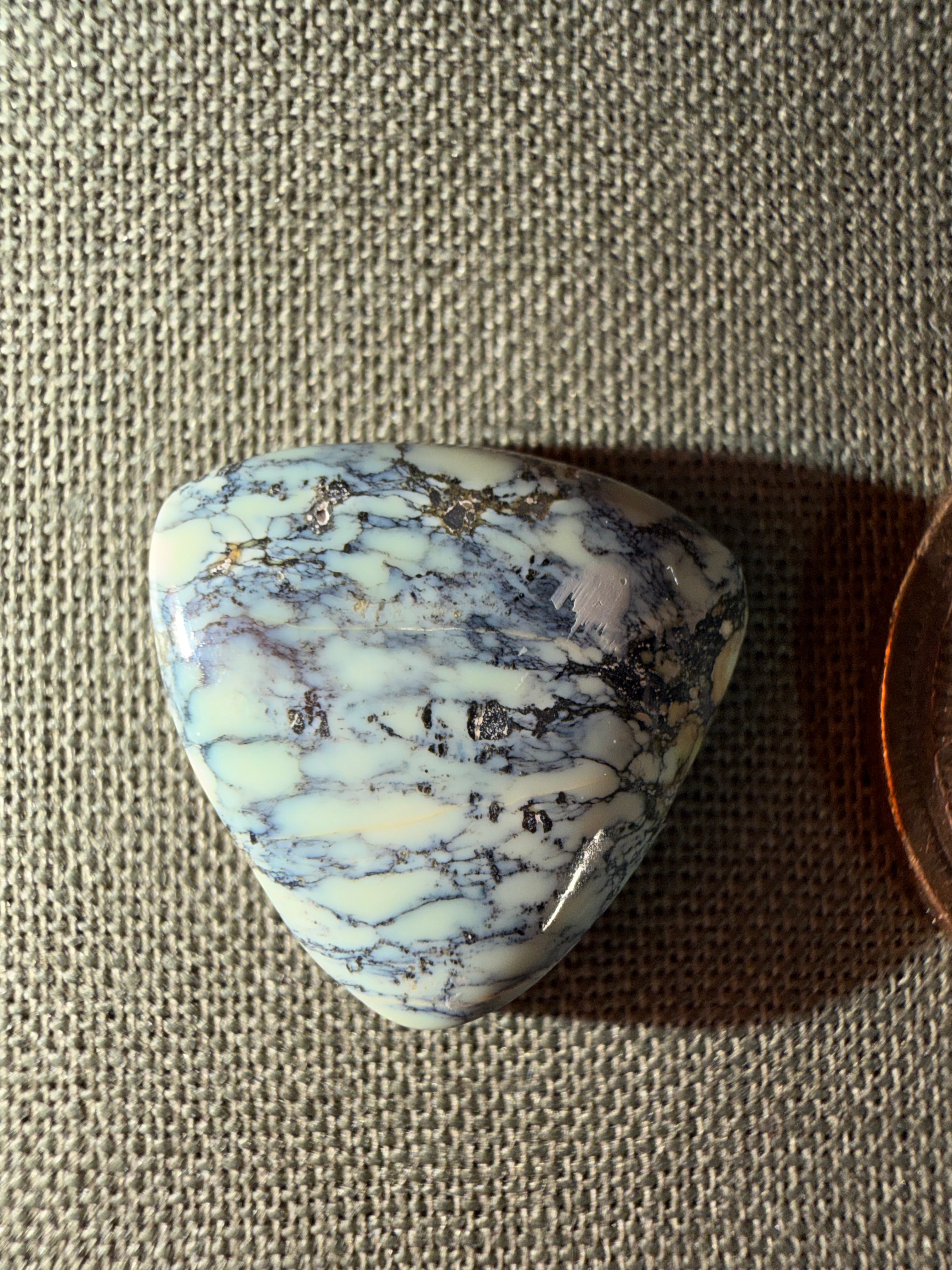 Variscite from the Prince Mine in Mineral Co. NV
