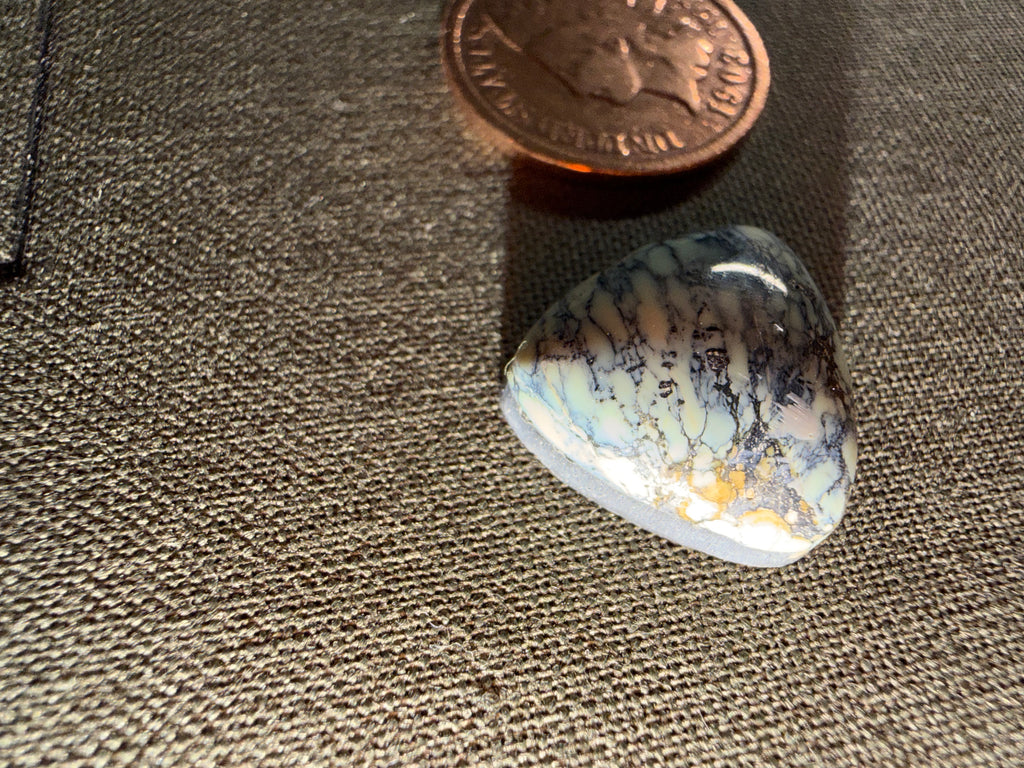 Variscite from the Prince Mine in Mineral Co. NV
