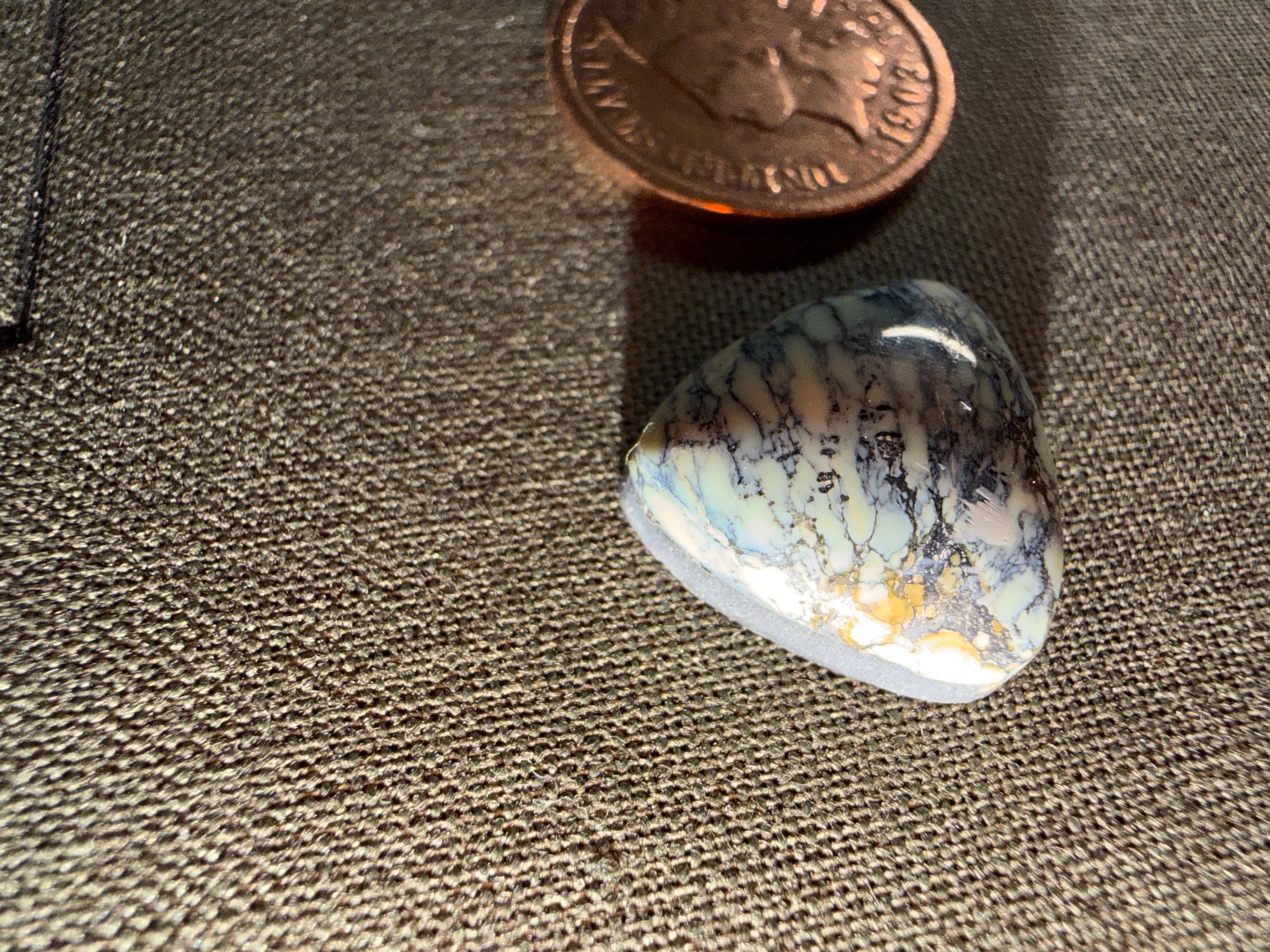 Variscite from the Prince Mine in Mineral Co. NV
