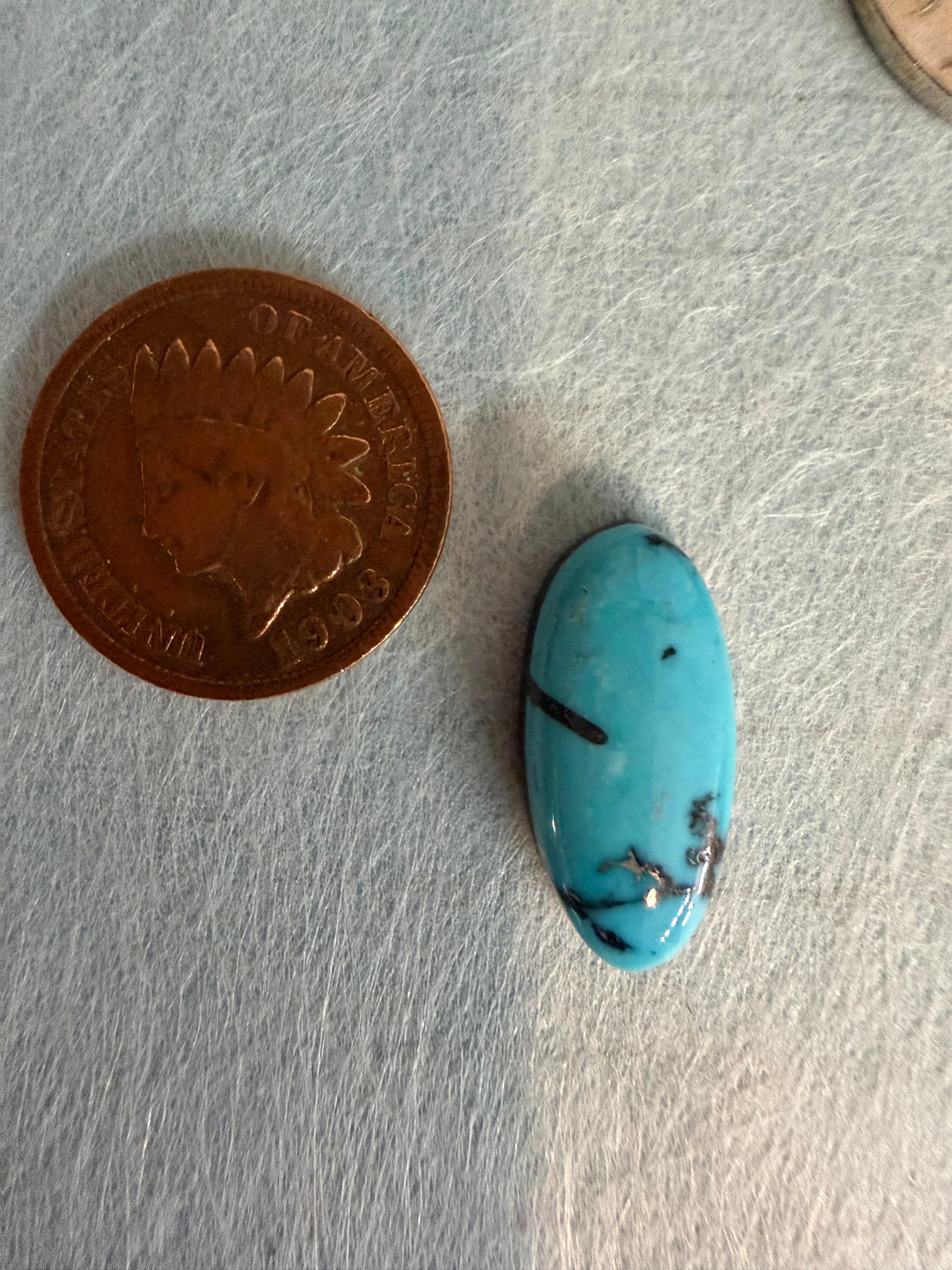 Turquoise Mountain Cab! Beautiful markings. Very Unique! (backed)