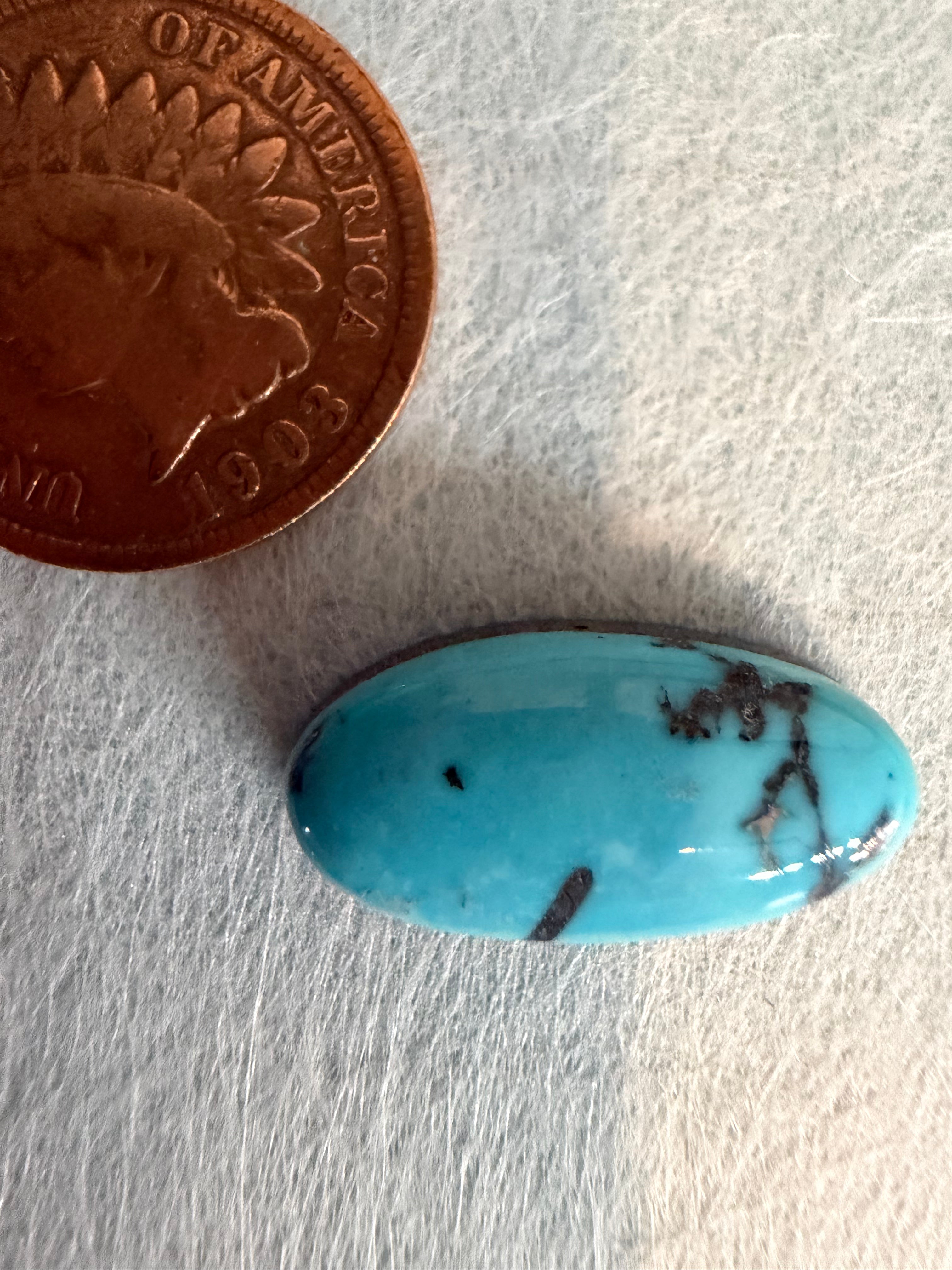 Turquoise Mountain Cab! Beautiful markings. Very Unique! (backed)