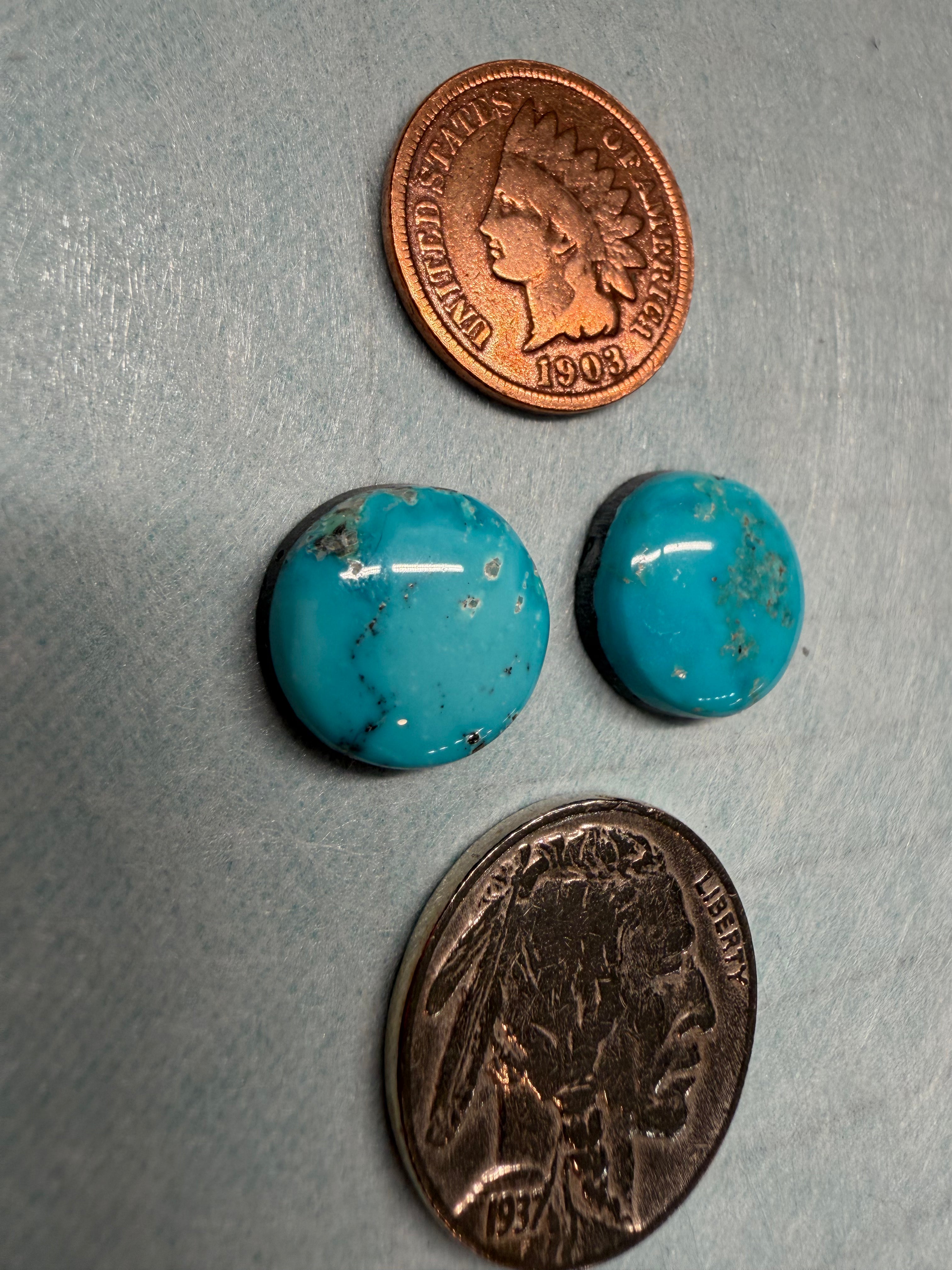 Robin's Egg to Sky Blue or somewhere in the middle!!