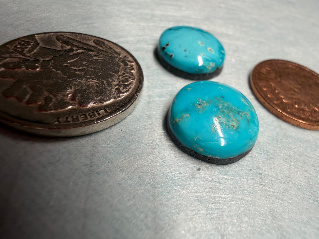 Robin's Egg to Sky Blue or somewhere in the middle!!
