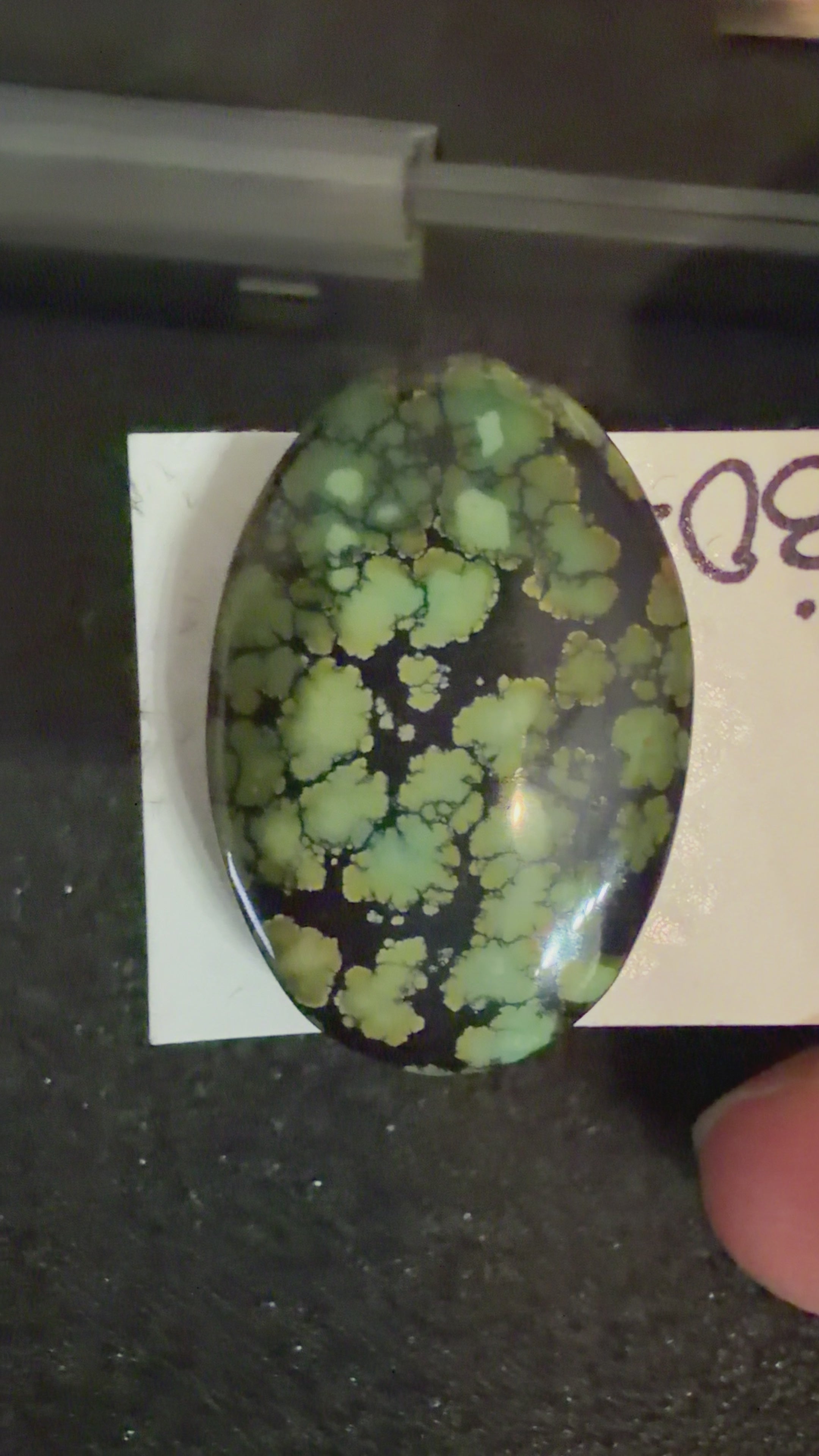 All The Greens!!  Polychrome Bamboo Mountain Turquoise Cabochon! On Sale!