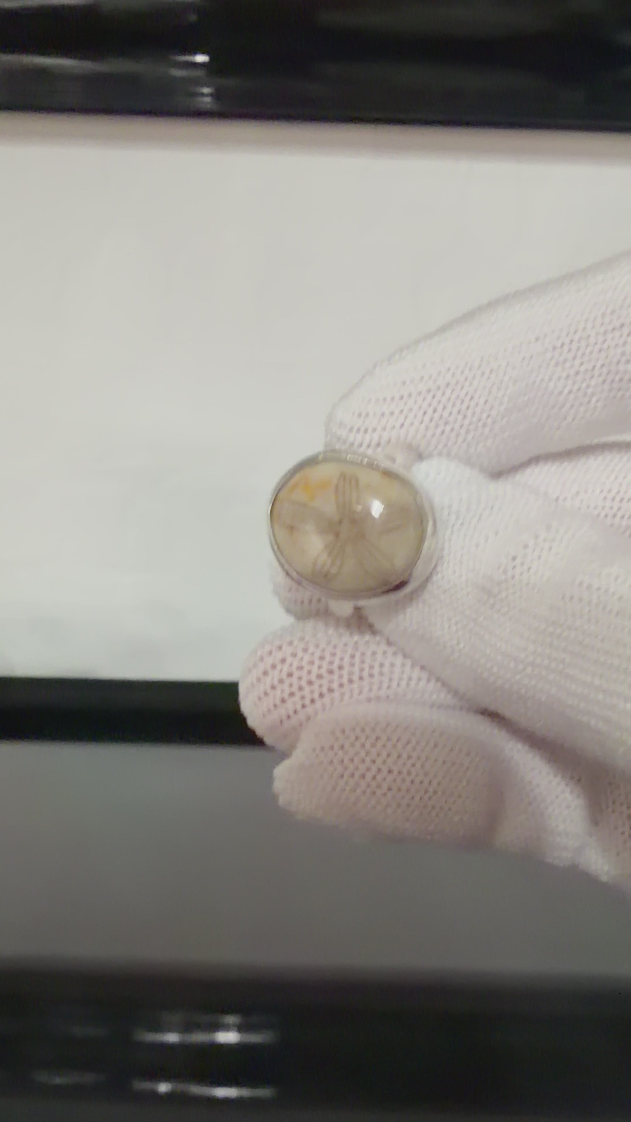 Sand Dollar Fossil Ring - One of a Kind!! Perfect Everyday Ring!