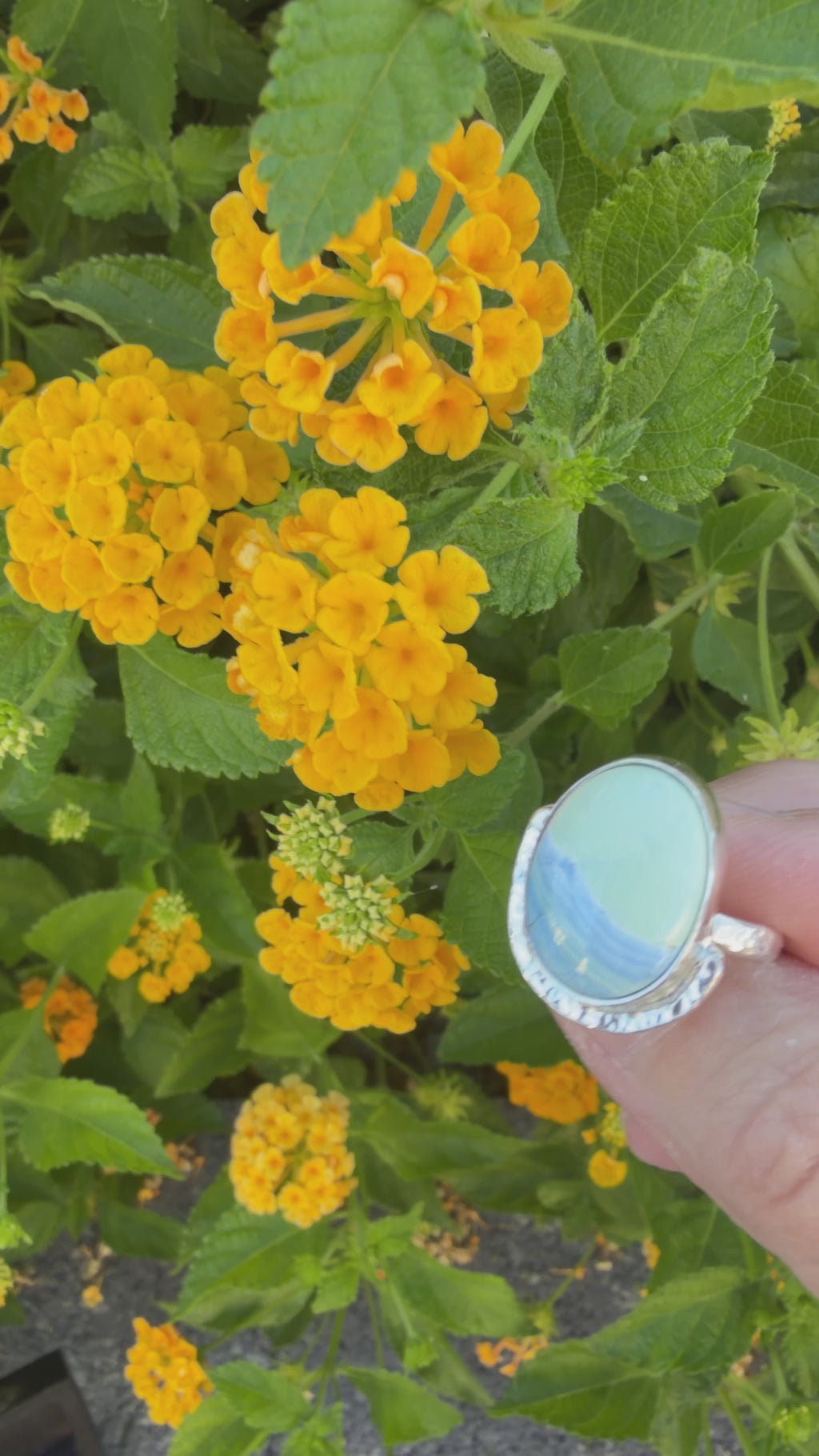All Natural Polychrome White River set in Sterling Silver!! On Sale!