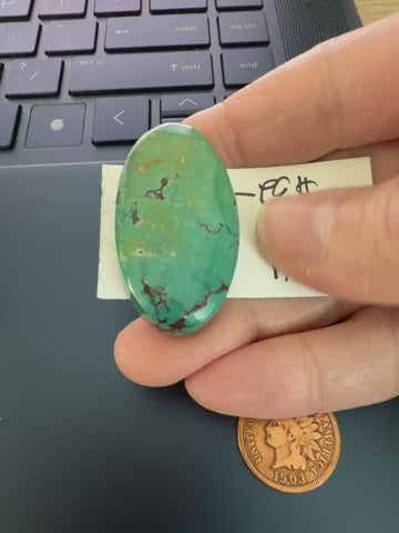 Chunky Oval Shaped Qingu Turquoise! - great for a pendant!