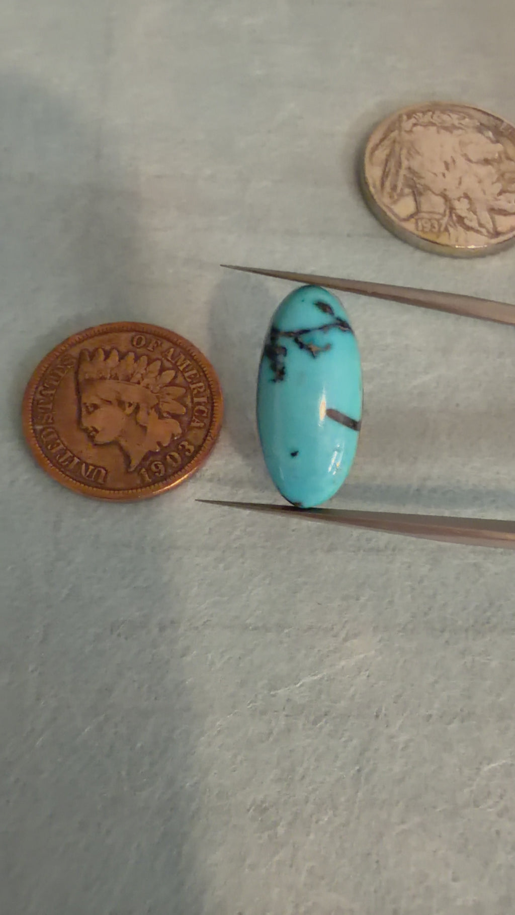 Turquoise Mountain Cab! Beautiful markings. Very Unique! (backed)
